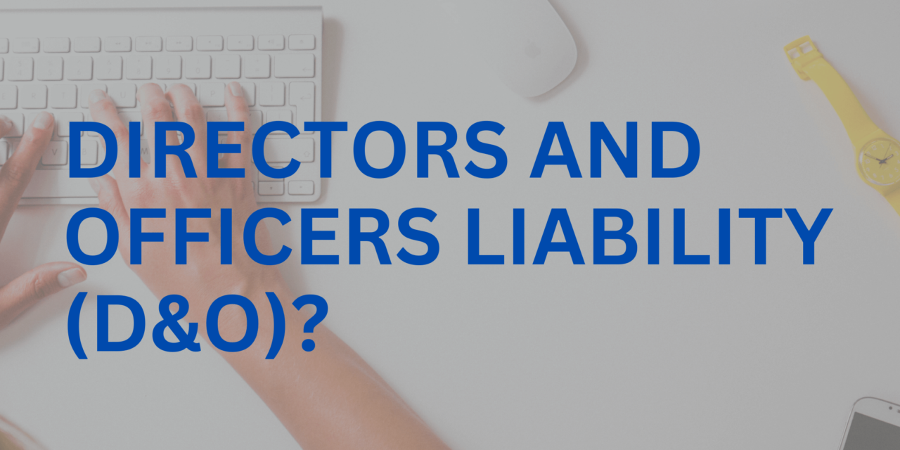 What is a Directors and Officers Liability (D&O)?